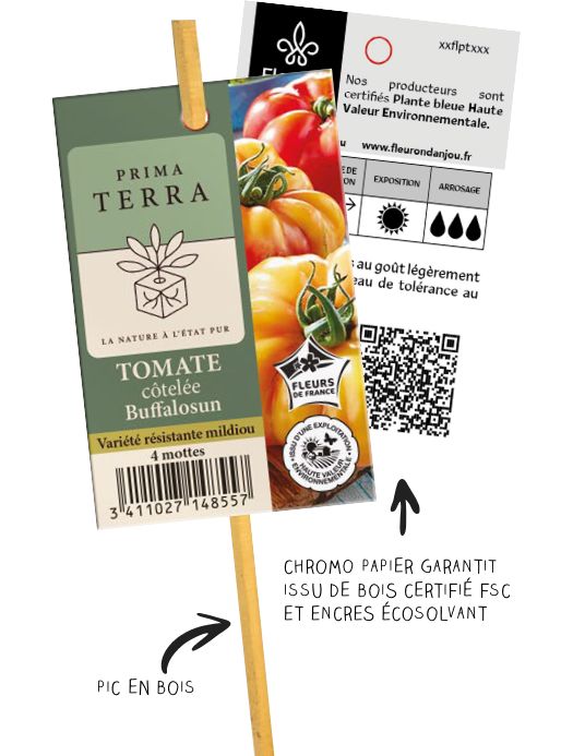 img-chromo-prima-terra